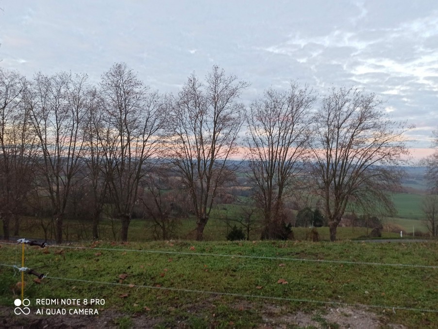 Vente Terrain à Puylaurens 0 pièce