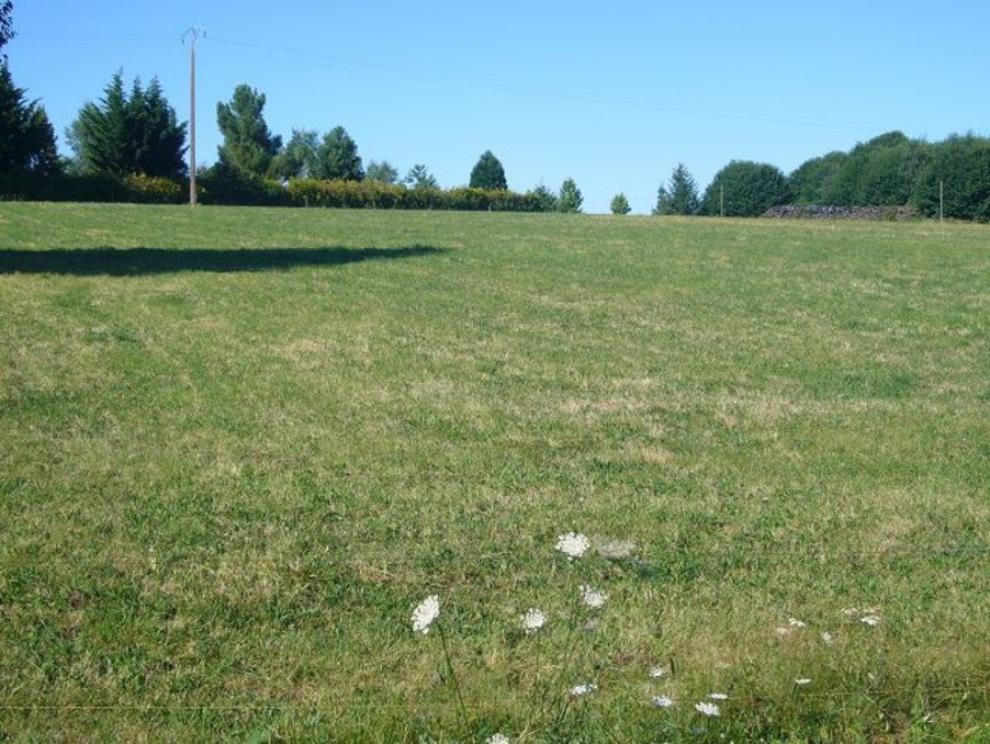 Vente Terrain à Saint-Yrieix-la-Perche 0 pièce