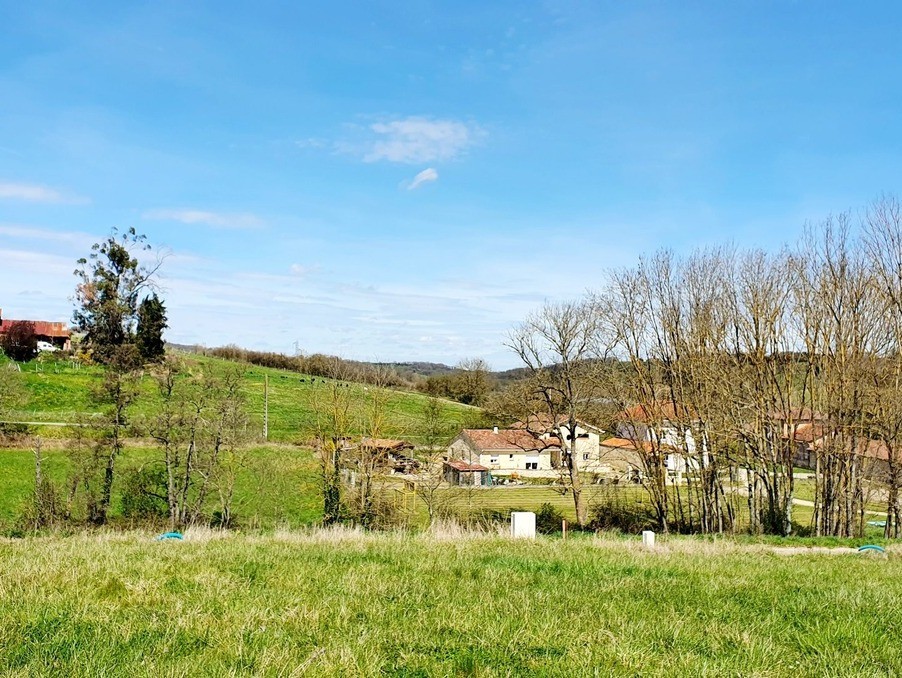 Vente Terrain à Saverdun 0 pièce