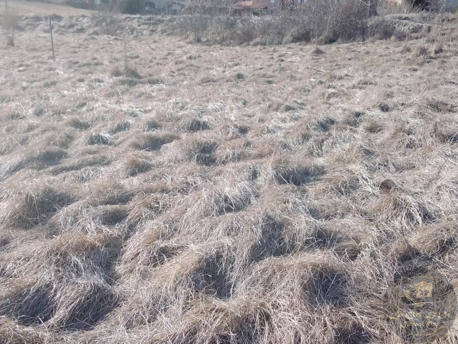 Vente Terrain à Annot 0 pièce