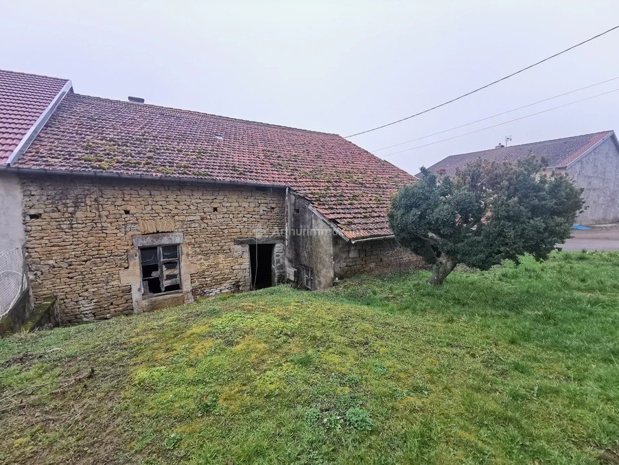 Vente Maison à Val-de-Meuse 4 pièces