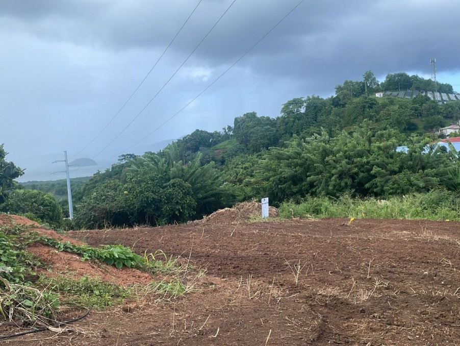 Vente Terrain à le Robert 0 pièce