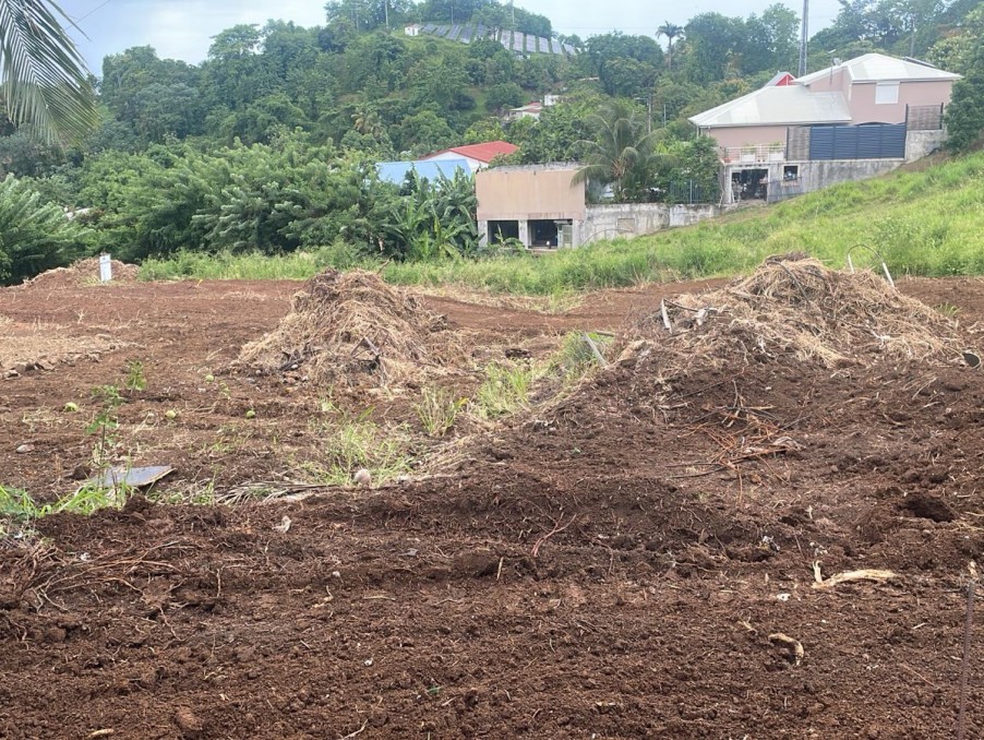 Vente Terrain à le Robert 0 pièce