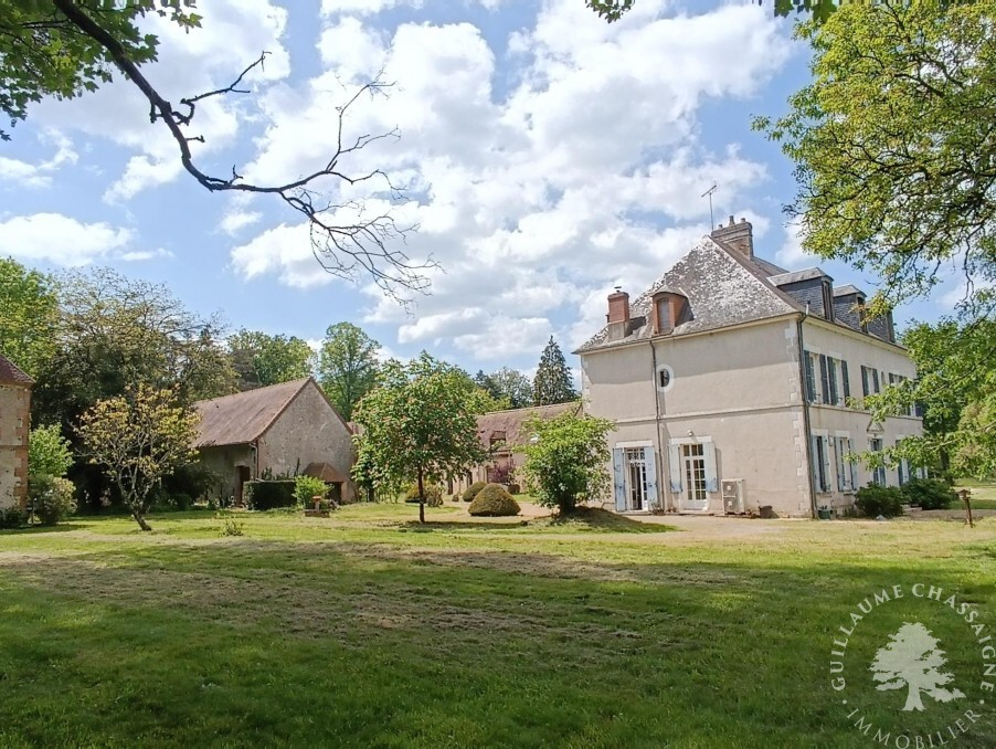 Vente Maison à Argent-sur-Sauldre 15 pièces