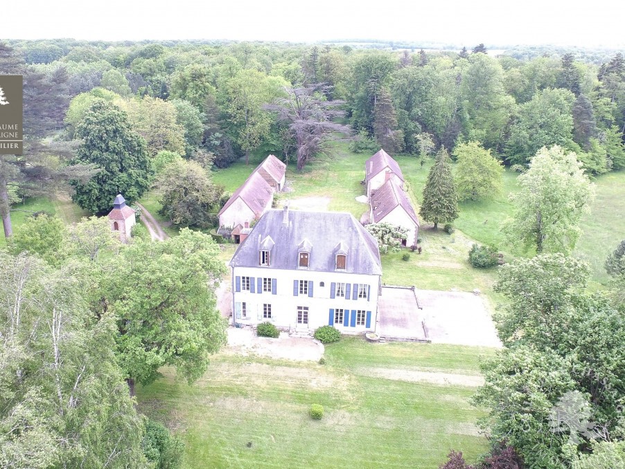 Vente Maison à Argent-sur-Sauldre 15 pièces