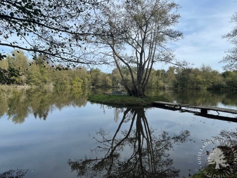 Vente Maison à Neuvy-sur-Barangeon 7 pièces