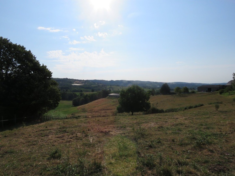 Vente Terrain à Voutezac 0 pièce