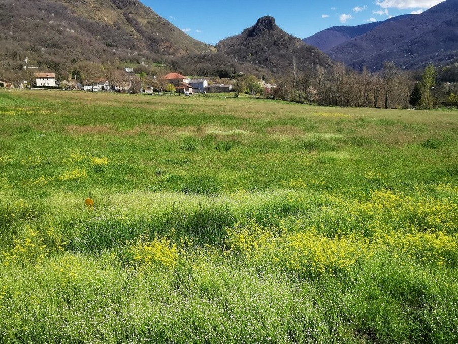 Vente Terrain à les Cabannes 0 pièce