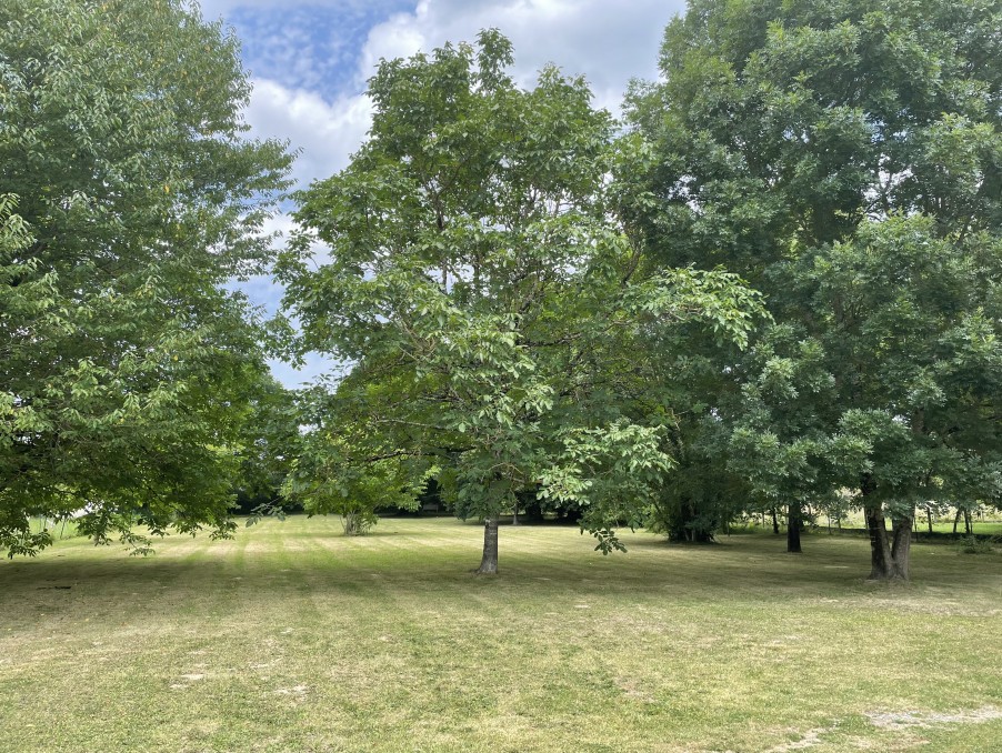 Vente Maison à Saint-Astier 5 pièces