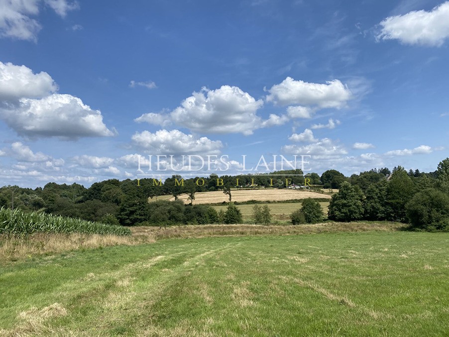 Vente Terrain à Grandparigny 0 pièce