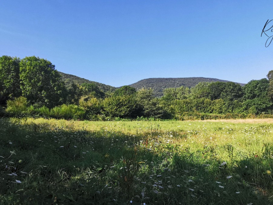 Vente Terrain à Mazamet 0 pièce