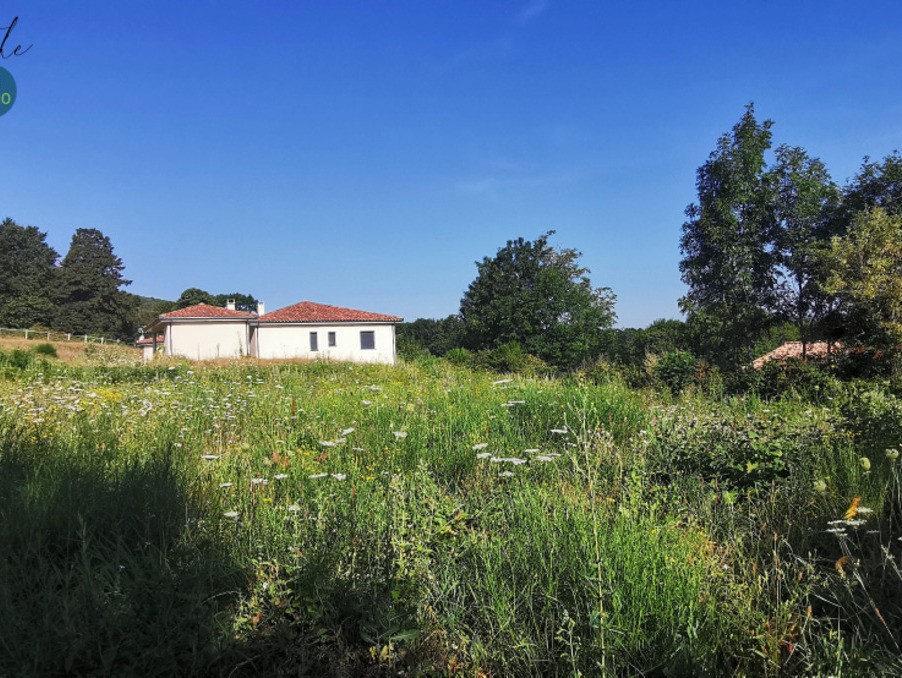 Vente Terrain à Mazamet 0 pièce