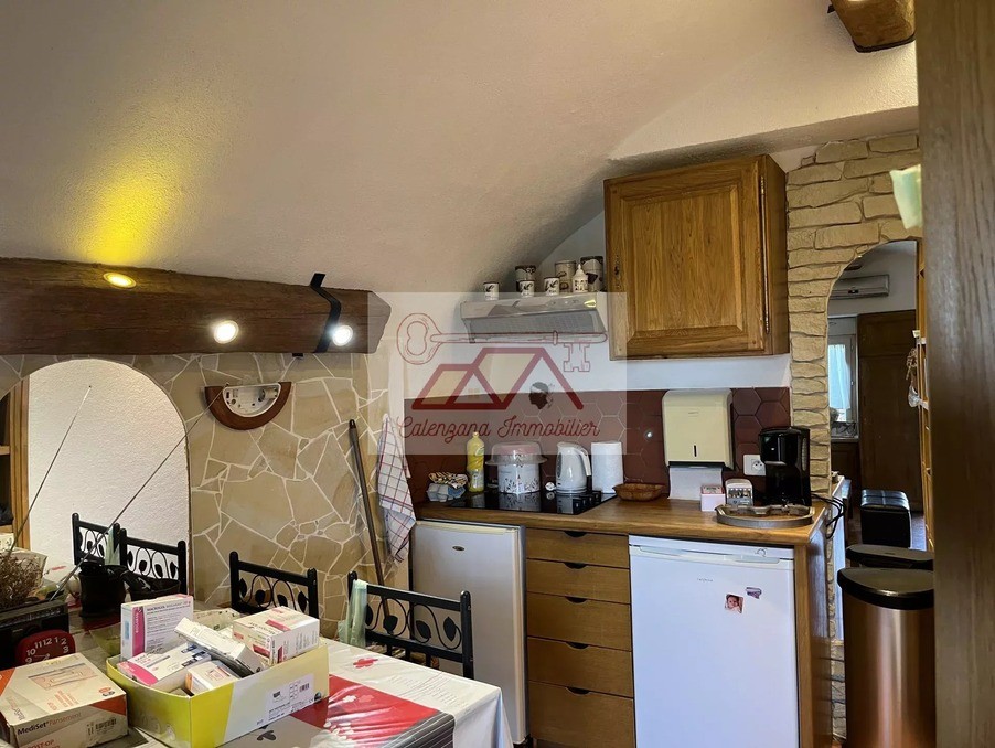 Vente Appartement à Calenzana 1 pièce