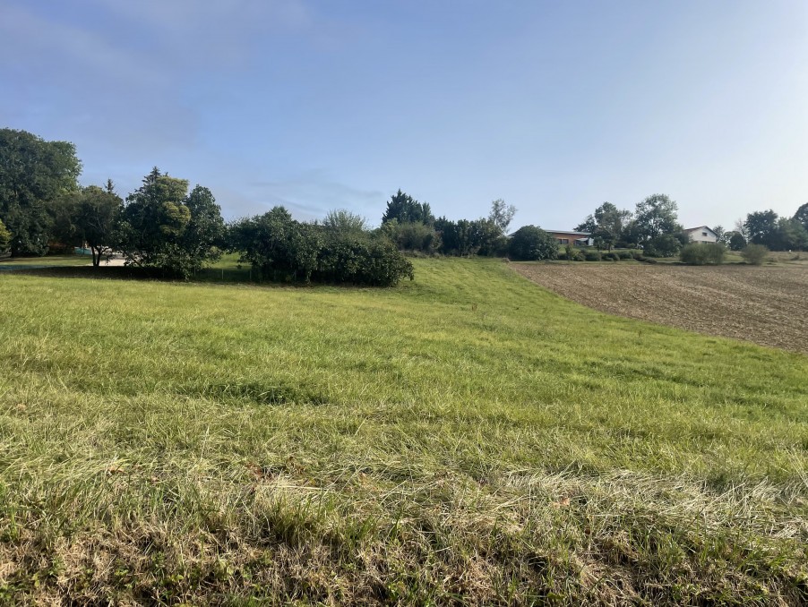 Vente Terrain à Aurignac 0 pièce