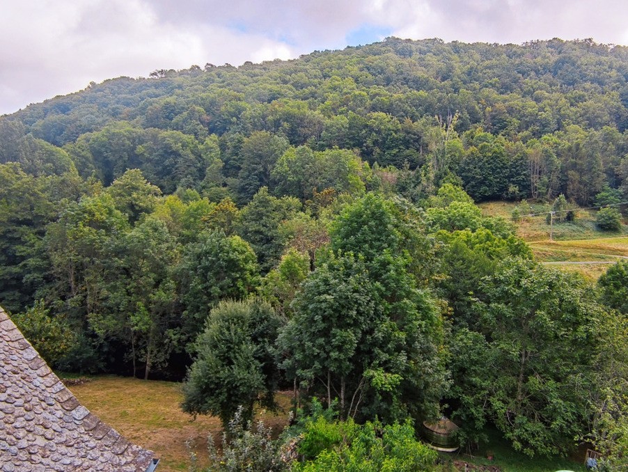 Vente Maison à Saint-Chély-d'Aubrac 3 pièces