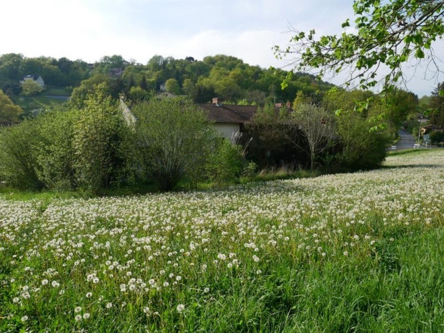 Vente Terrain à Livinhac-le-Haut 0 pièce