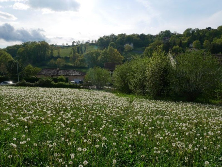 Vente Terrain à Livinhac-le-Haut 0 pièce