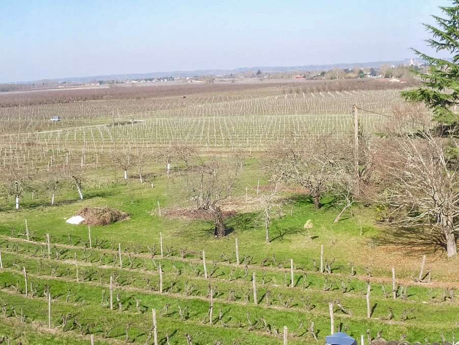 Vente Maison à Monbazillac 6 pièces