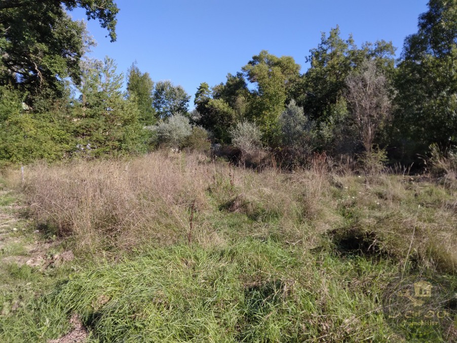 Vente Terrain à Digne-les-Bains 0 pièce