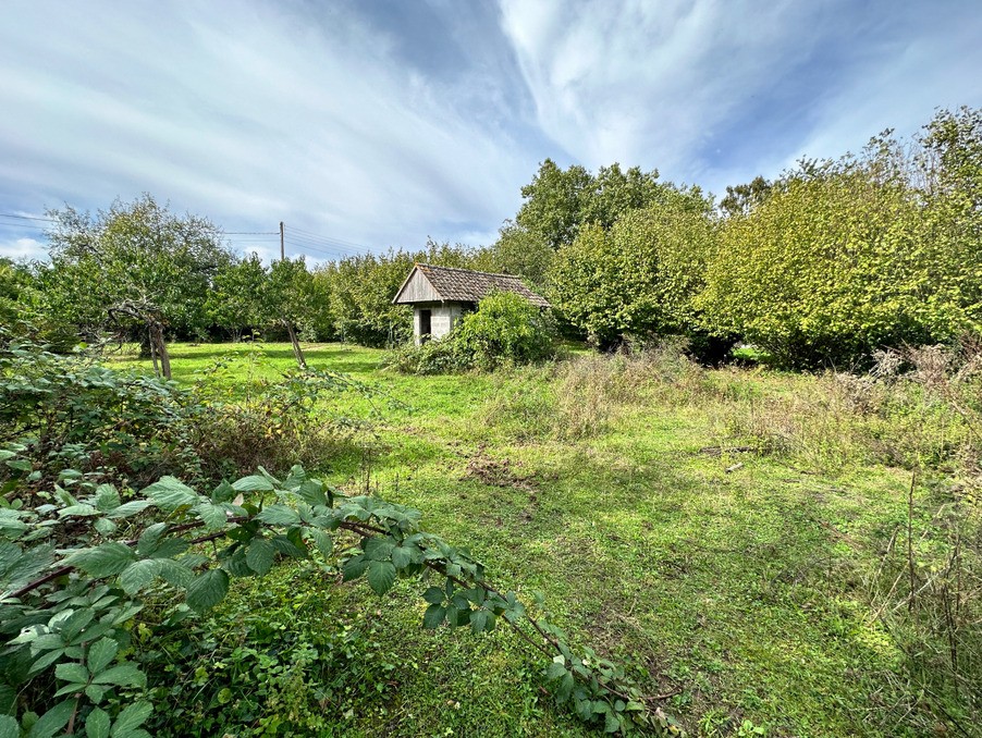 Vente Terrain à Souppes-sur-Loing 0 pièce