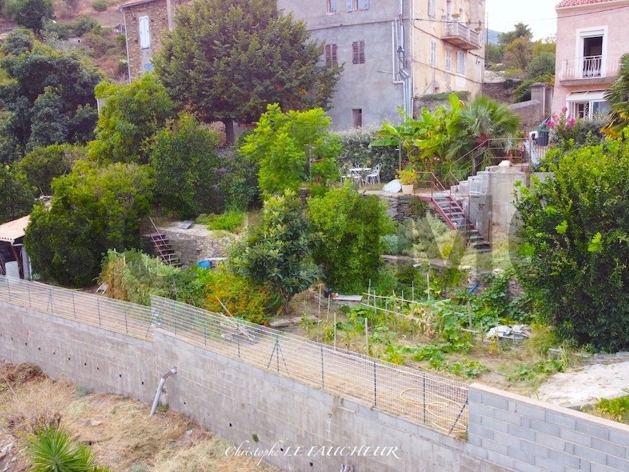 Viager Maison à San-Gavino-di-Tenda 4 pièces