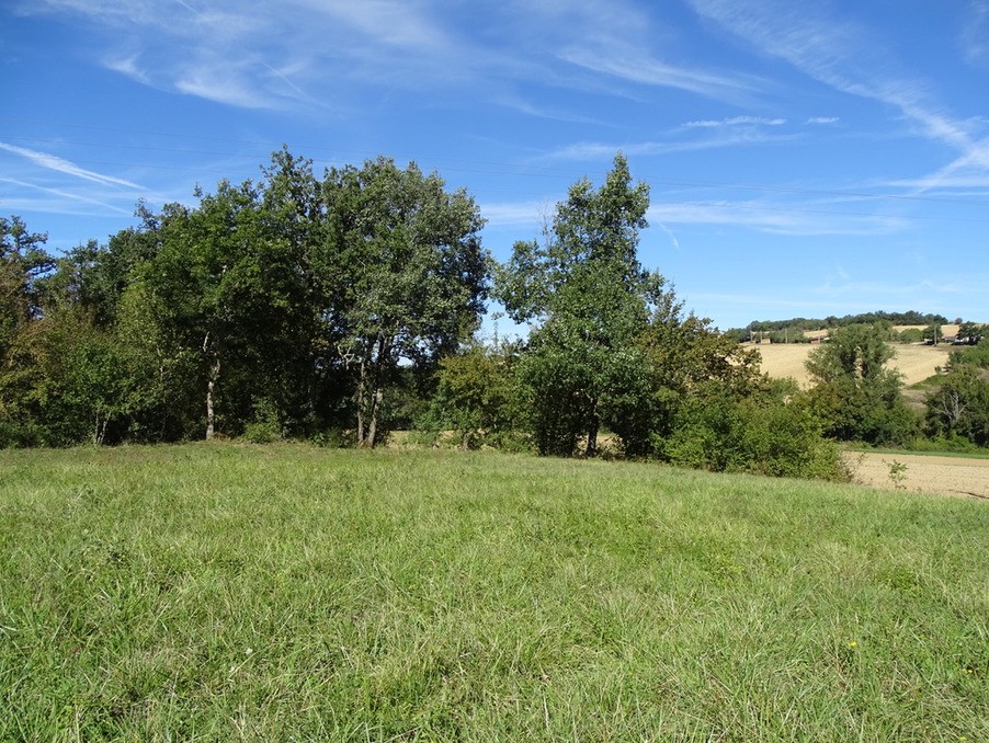 Vente Terrain à l'Isle-Jourdain 0 pièce