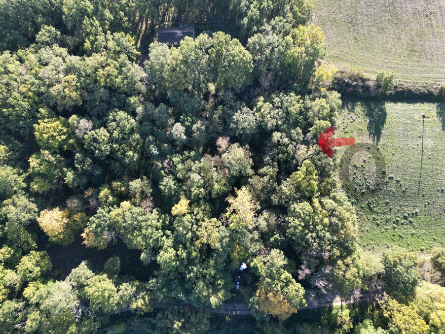 Vente Terrain à Puylaurens 0 pièce