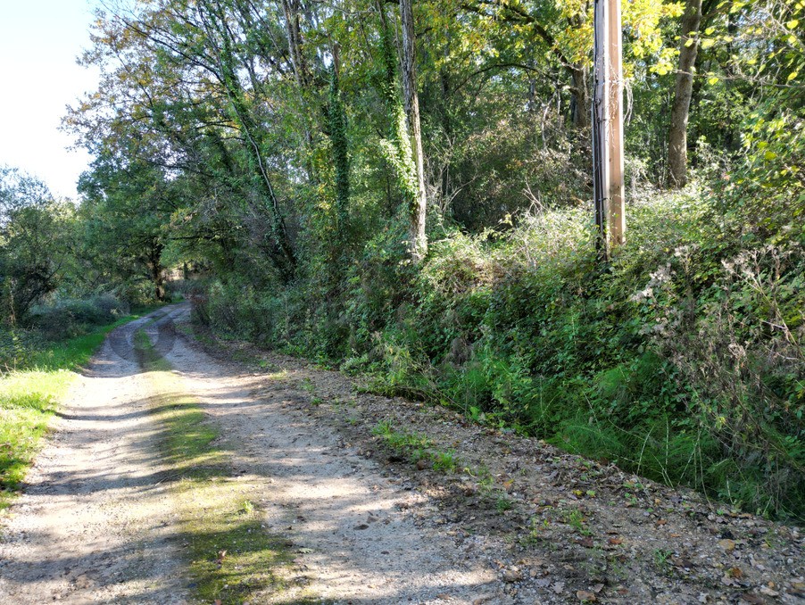 Vente Terrain à Puylaurens 0 pièce