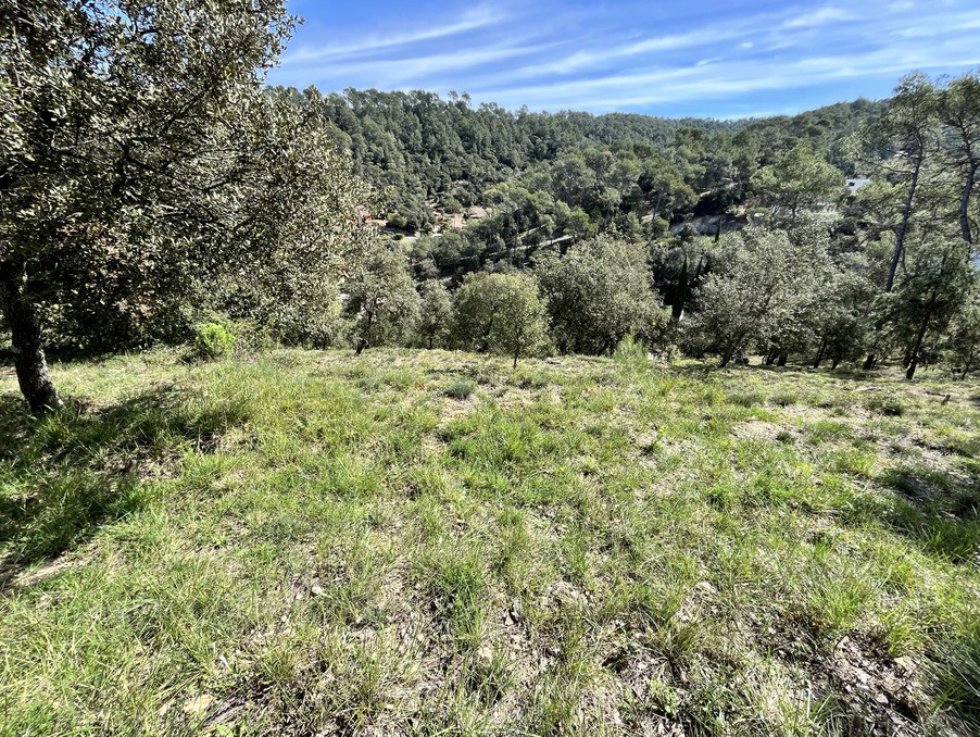 Vente Terrain à Vidauban 0 pièce