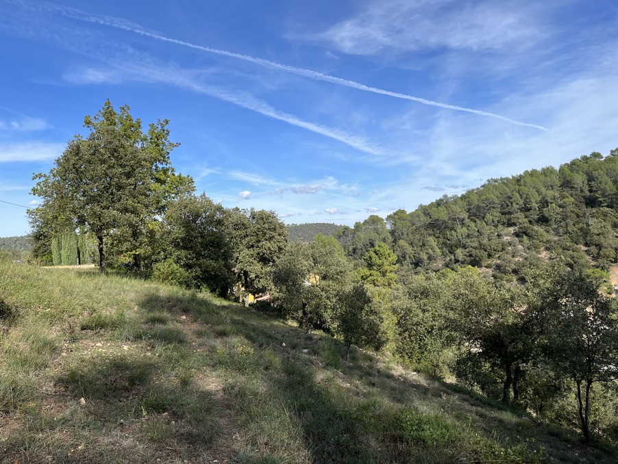 Vente Terrain à Vidauban 0 pièce