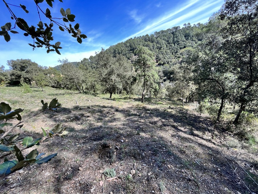 Vente Terrain à Vidauban 0 pièce