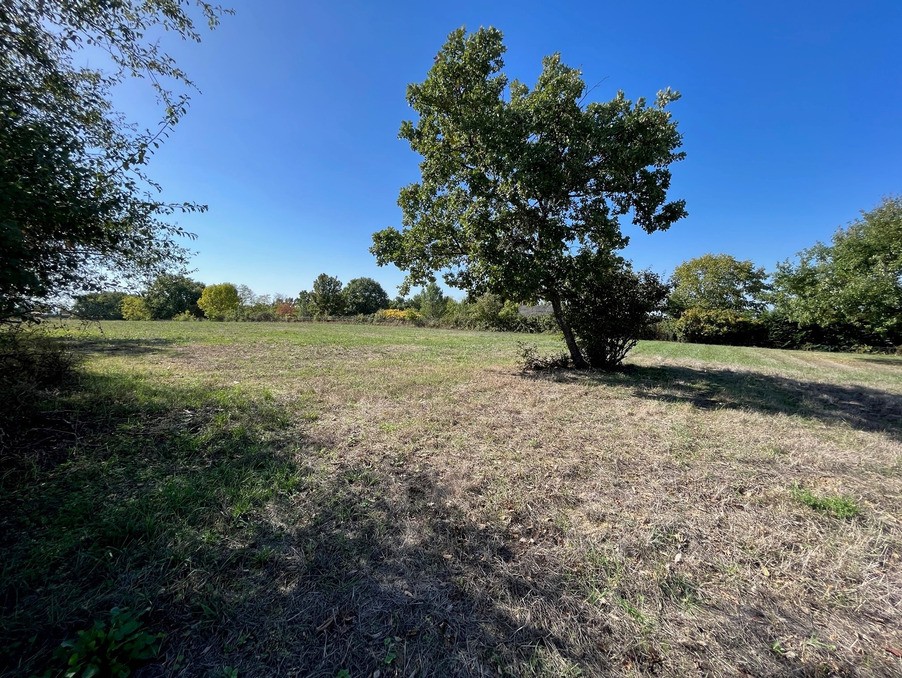 Vente Terrain à Montbartier 0 pièce