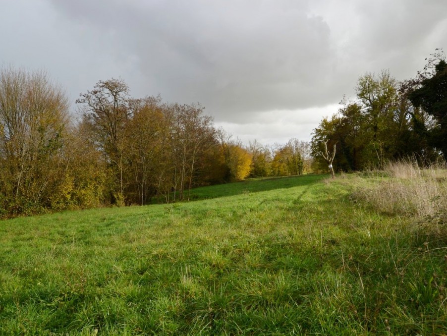 Vente Terrain à Duras 0 pièce