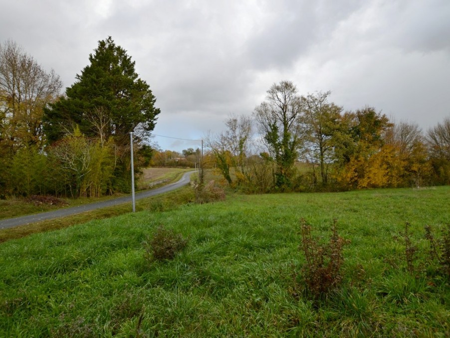 Vente Terrain à Duras 0 pièce