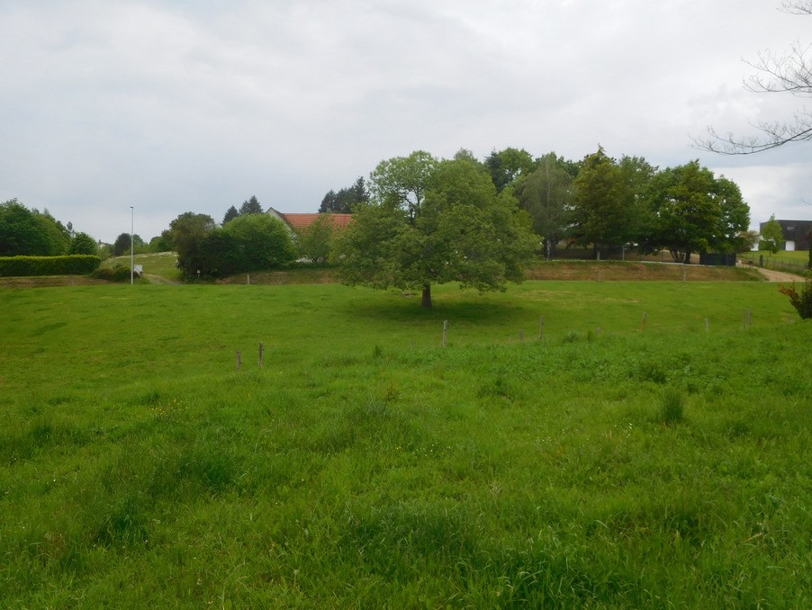 Vente Terrain à Saint-Yrieix-la-Perche 0 pièce