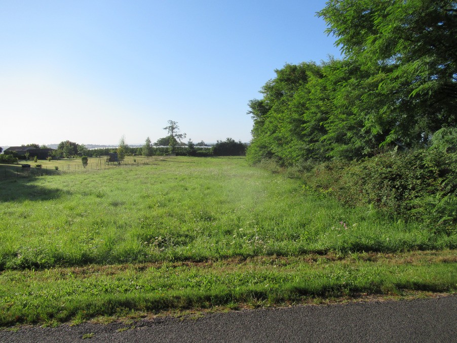 Vente Terrain à Saint-Yrieix-la-Perche 0 pièce