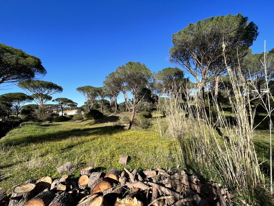 Vente Terrain à Vidauban 0 pièce