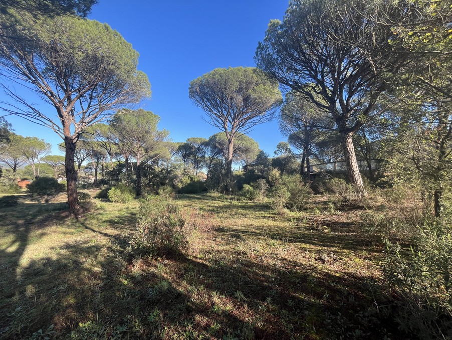 Vente Terrain à Vidauban 0 pièce