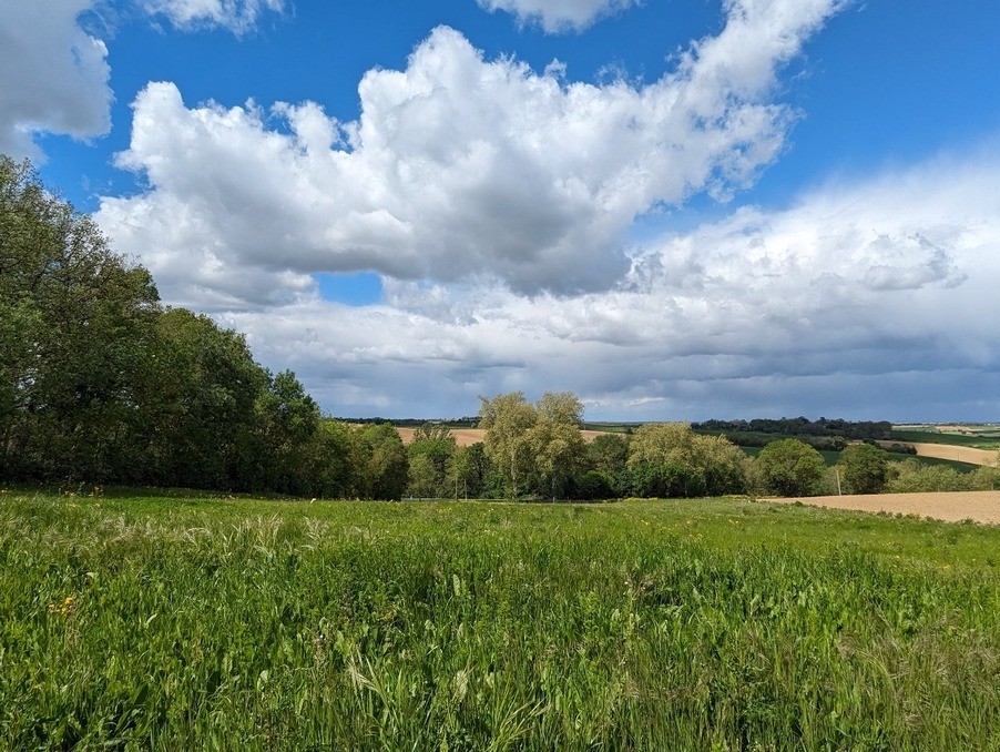 Vente Terrain à Nailloux 0 pièce