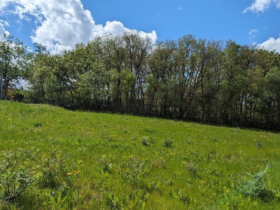 Vente Terrain à Nailloux 0 pièce