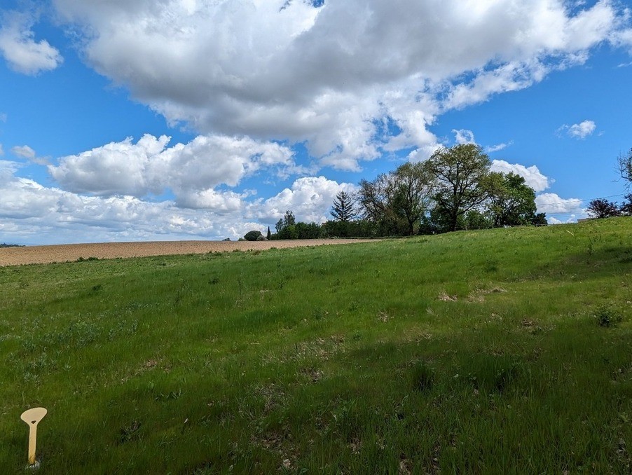 Vente Terrain à Nailloux 0 pièce