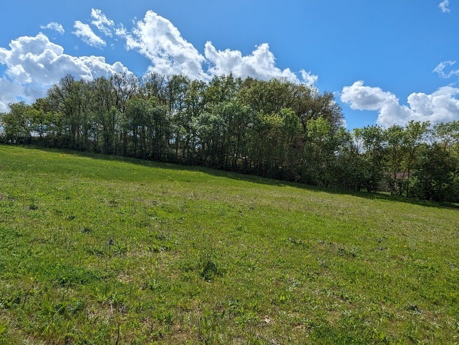 Vente Terrain à Nailloux 0 pièce