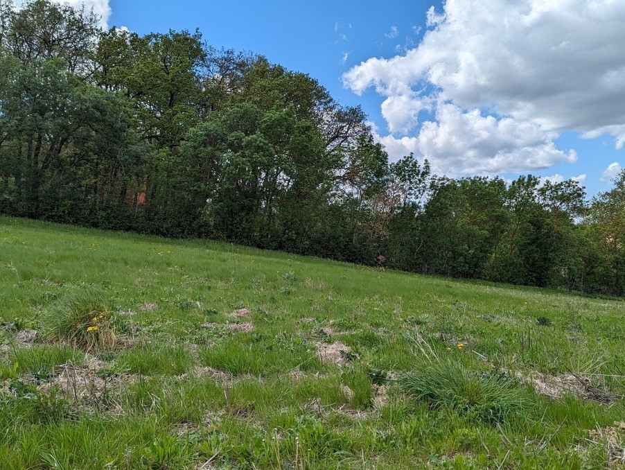 Vente Terrain à Nailloux 0 pièce