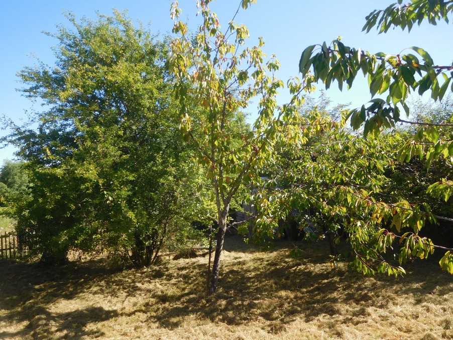 Vente Terrain à Saint-Yrieix-la-Perche 0 pièce