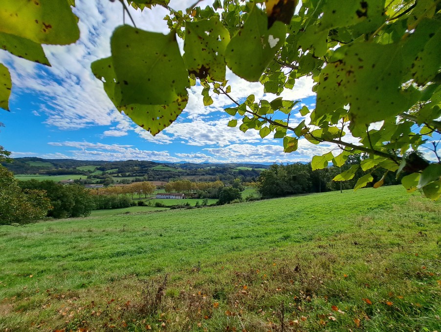 Vente Maison à Boulogne-sur-Gesse 7 pièces