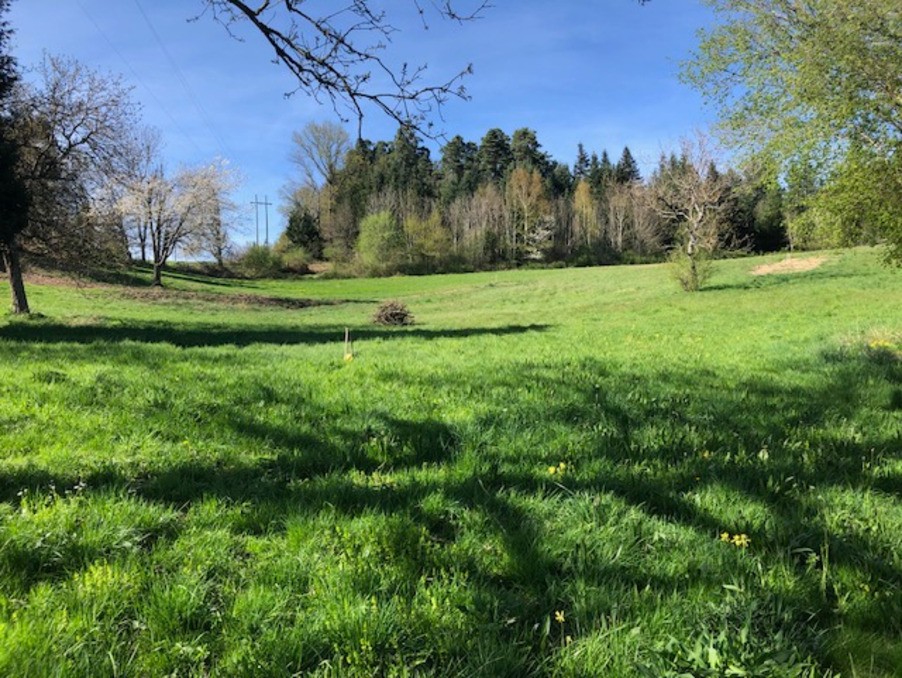 Vente Terrain à Clermont-Ferrand 0 pièce