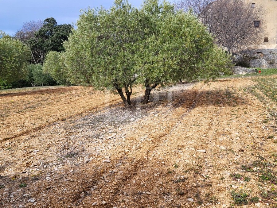 Vente Terrain à Saint-Saturnin-lès-Apt 0 pièce