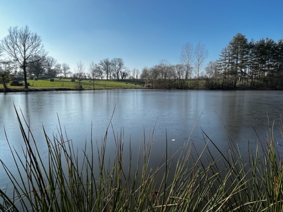 Vente Terrain à Moulins 0 pièce