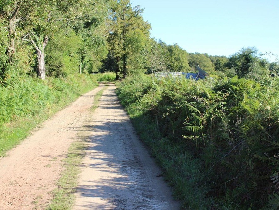 Vente Terrain à Chassenon 0 pièce