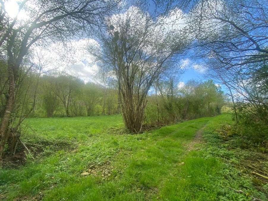 Vente Terrain à Nanteuil-en-Vallée 0 pièce